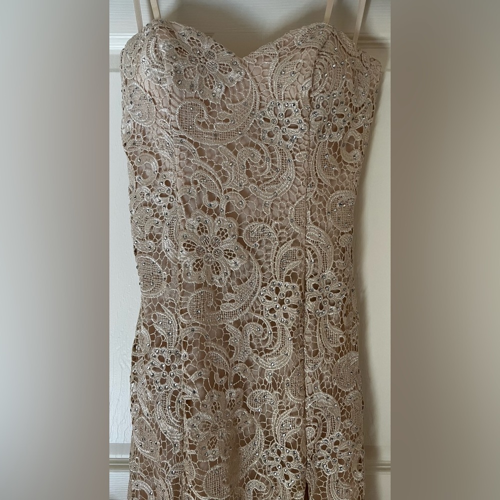 Renaissance - Elegant Champagne Prom, Pagent, Wedding, or Engagement Gown